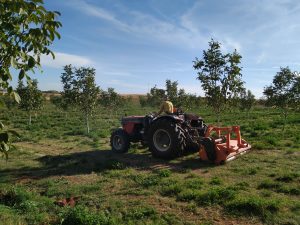 tractor